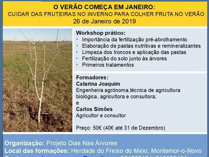 Cuidar das Fruteiras no Inverno para Colher Fruta no Verão